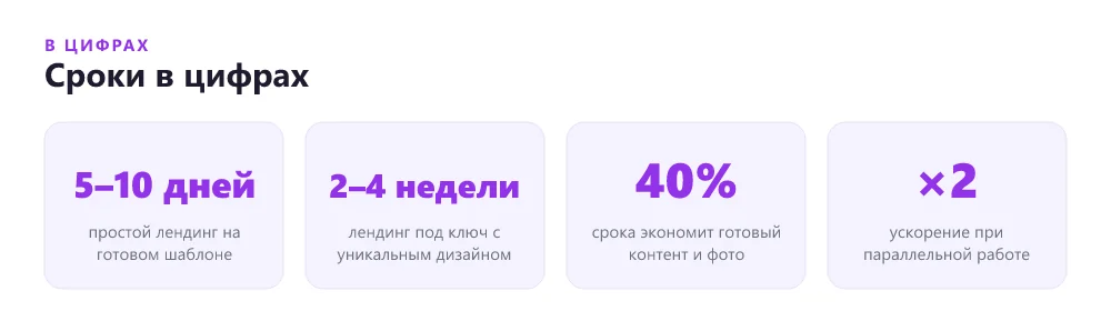 Сроки в цифрах